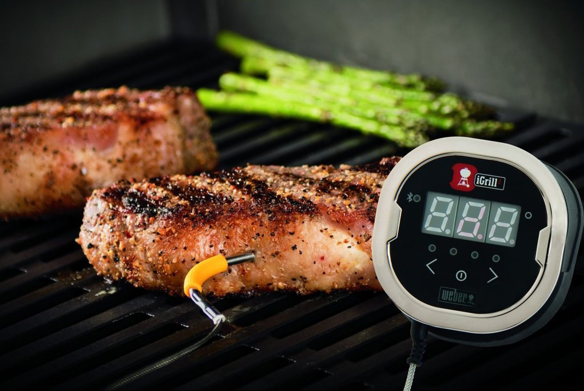 8 Best Smoker Thermometers Reviewed In Detail (Winter 2024)