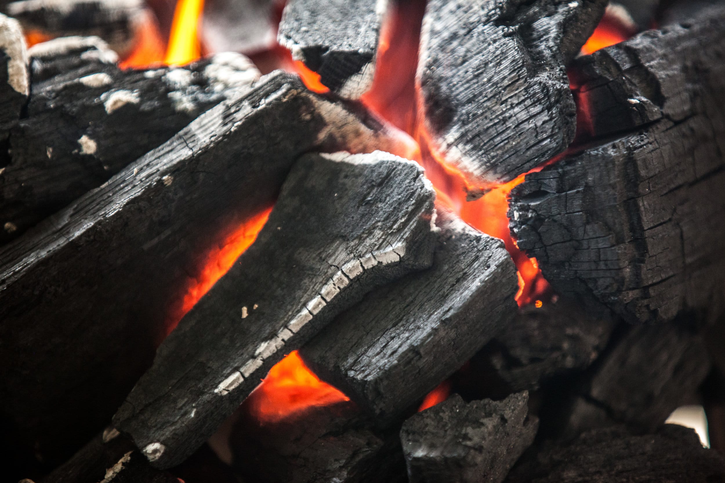 6 Best Lump Charcoal Bags for Best Grilling Results (Spring 2023)
