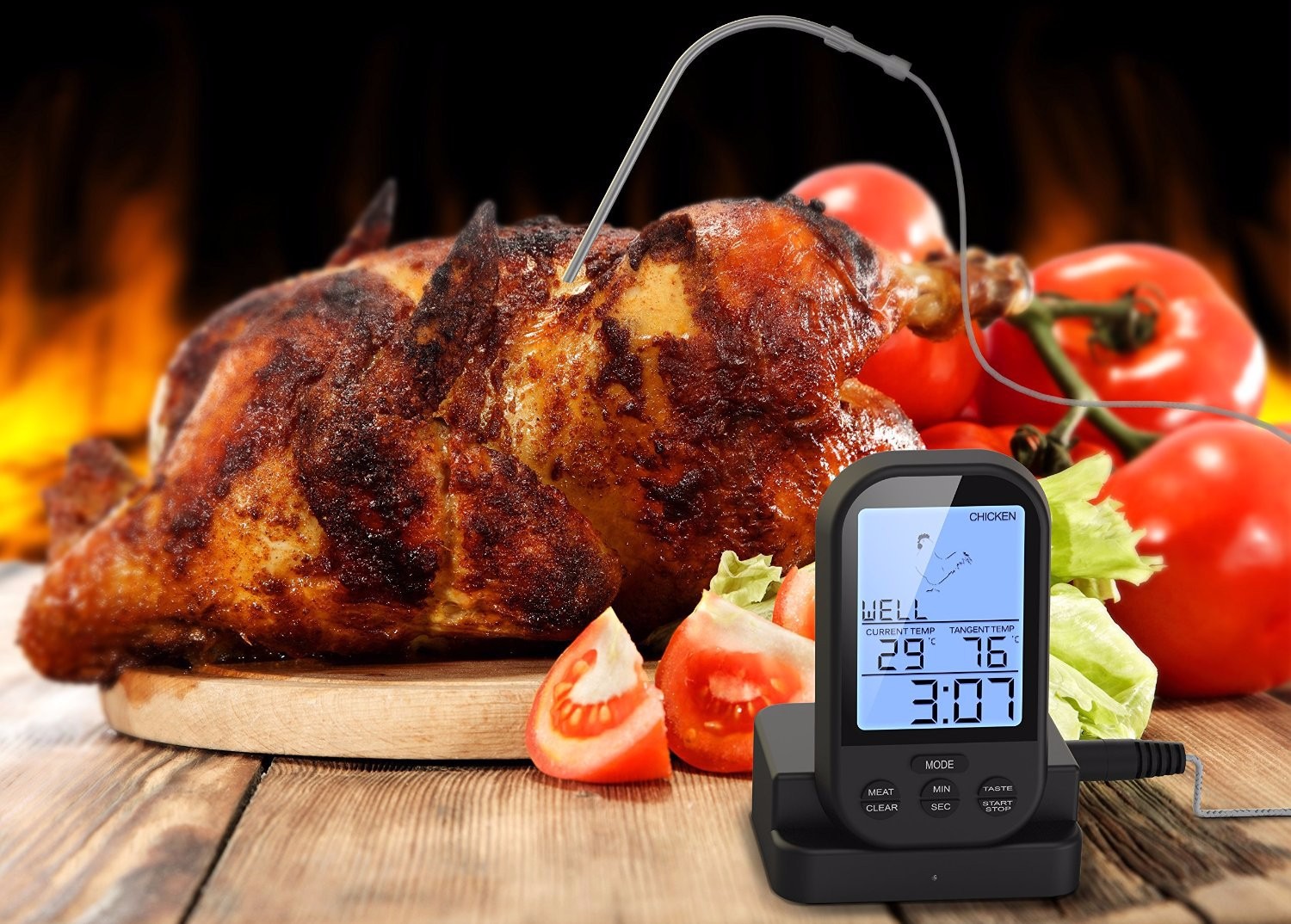 10 Best Meat Thermometers Reviewed in Detail (Fall 2023)