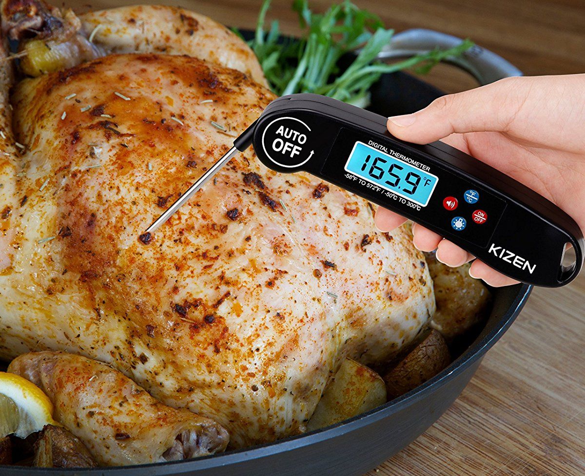 10 Best Meat Thermometers Reviewed in Detail (Fall 2023)