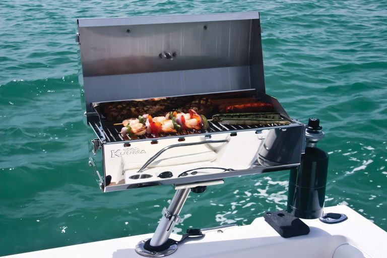 5 Best Pontoon Boat Grills Reviewed in Detail (Winter 2024)