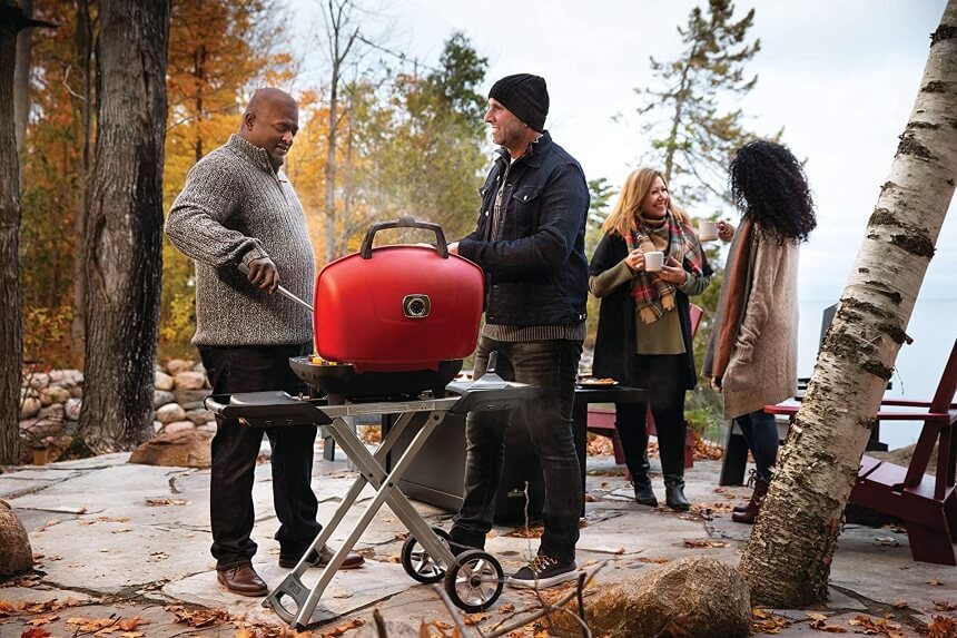 5 Best Napoleon Grills - Become New BBQ King with Reliable Brand