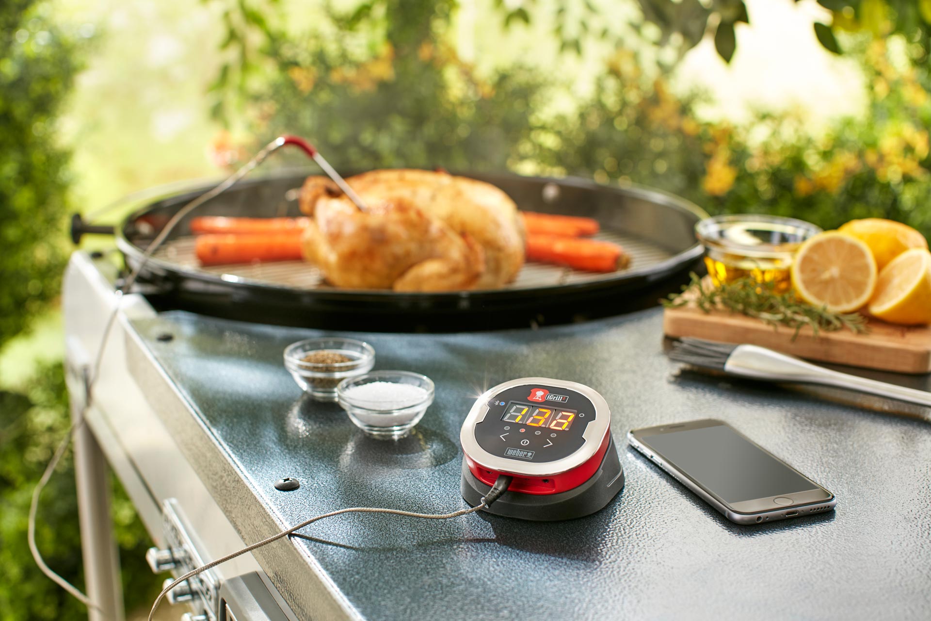 8 Best Bluetooth Meat Thermometers Reviewed in Detail (Winter 2024)