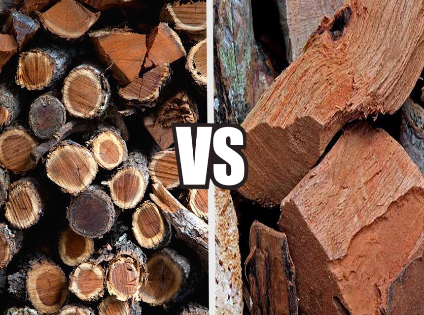Mesquite vs Hickory Wood – Which Is Better for Smoking Meat