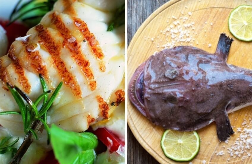 3 Grilled Monkfish Recipes You Will Want to Try Out
