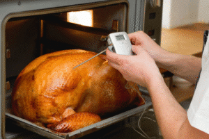 wired meat thermometer image