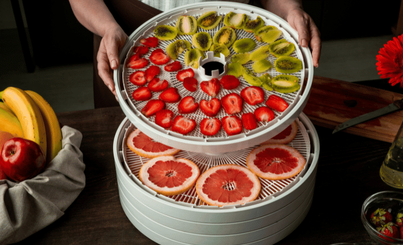 best food dehydrator with food in it image