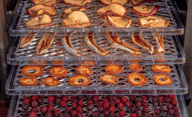 7 Best Dehydrators for Jerky for the Tastiest and Most Long-Lasting Meat